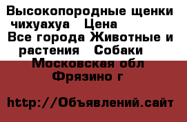 Высокопородные щенки чихуахуа › Цена ­ 25 000 - Все города Животные и растения » Собаки   . Московская обл.,Фрязино г.